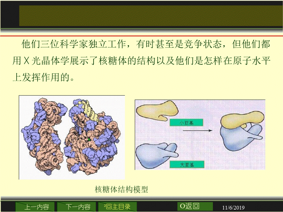 2009年诺贝尔化学奖.pptx_第2页