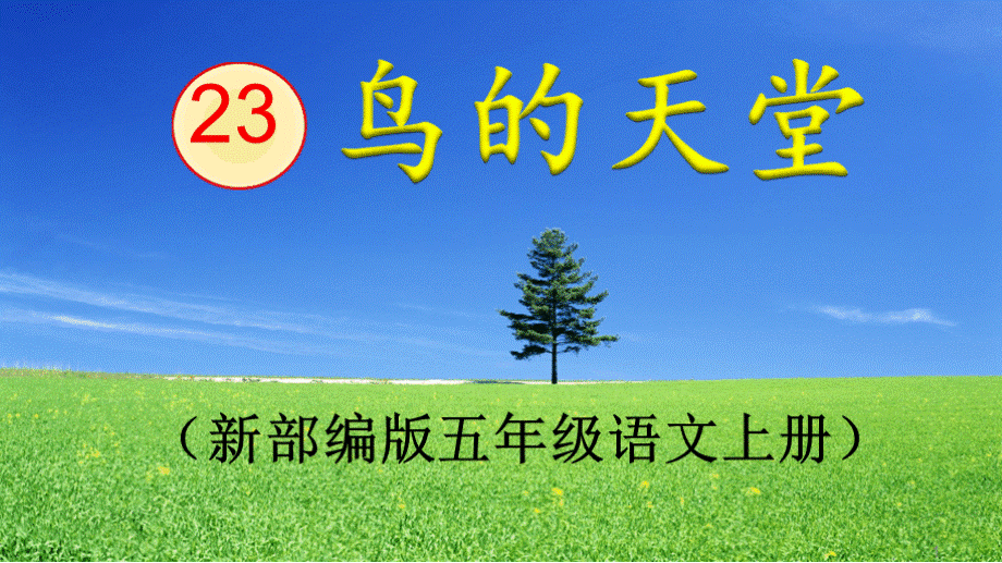 部编版《鸟的天堂》ppt课件.ppt_第1页