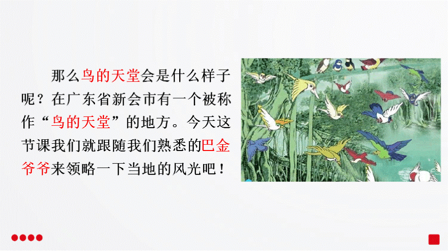 部编版《鸟的天堂》ppt课件.ppt_第3页