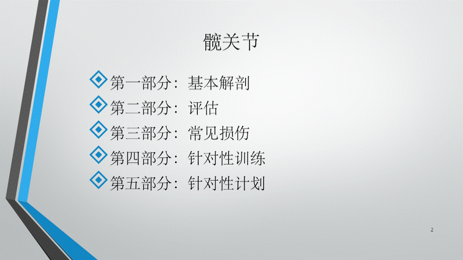 髋关节参考PPT.pptx_第2页