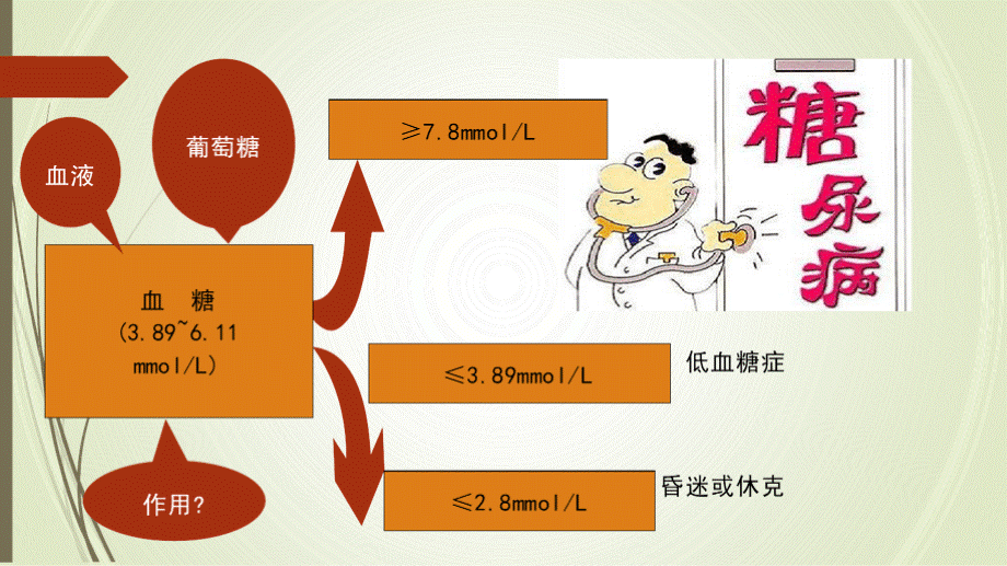 专题十八血糖,血压和血脂调节PPT课件下载推荐.pptx_第3页