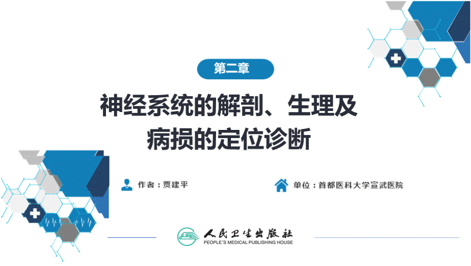 神经系统的解剖、生理及病损的定位诊断PPT参考幻灯片.pptx_第2页