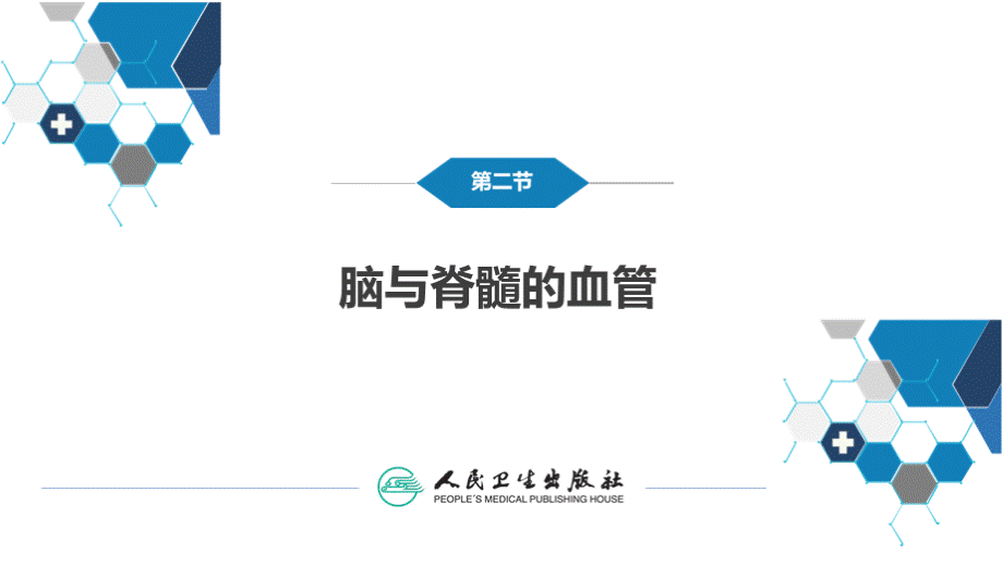 神经系统的解剖、生理及病损的定位诊断PPT参考幻灯片.pptx_第3页