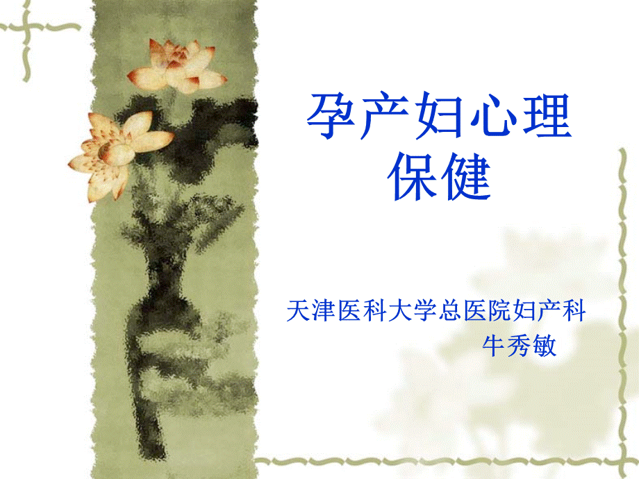 孕产妇心理保健优质PPT.ppt