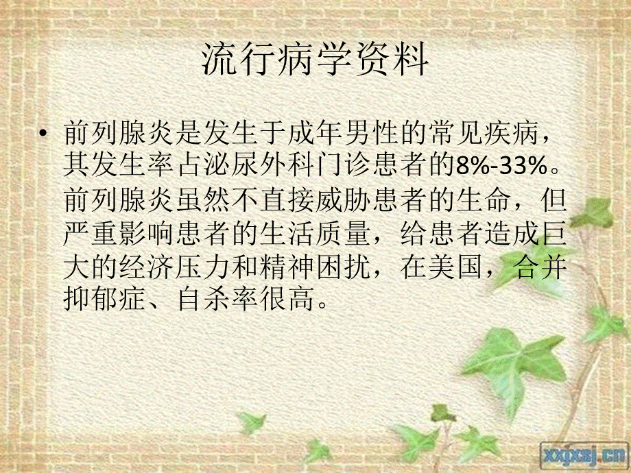 前列腺炎病人的护理PPT格式课件下载.pptx_第2页