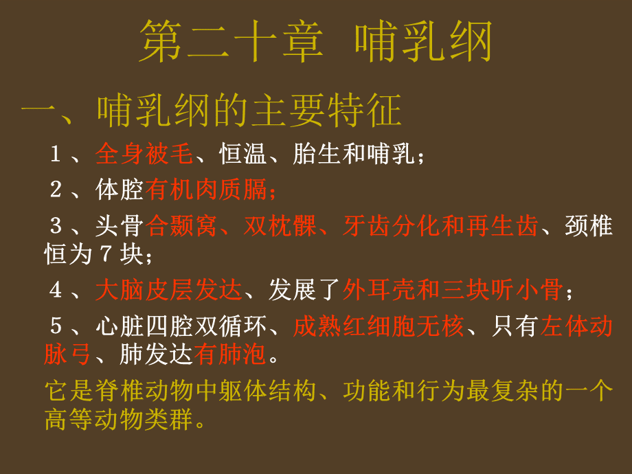 课件：哺乳纲PPT文件格式下载.ppt