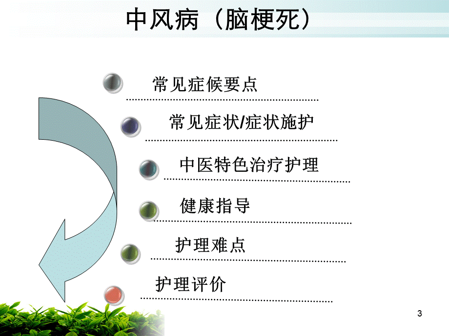 中风中医护理方案ppt课件.ppt_第3页