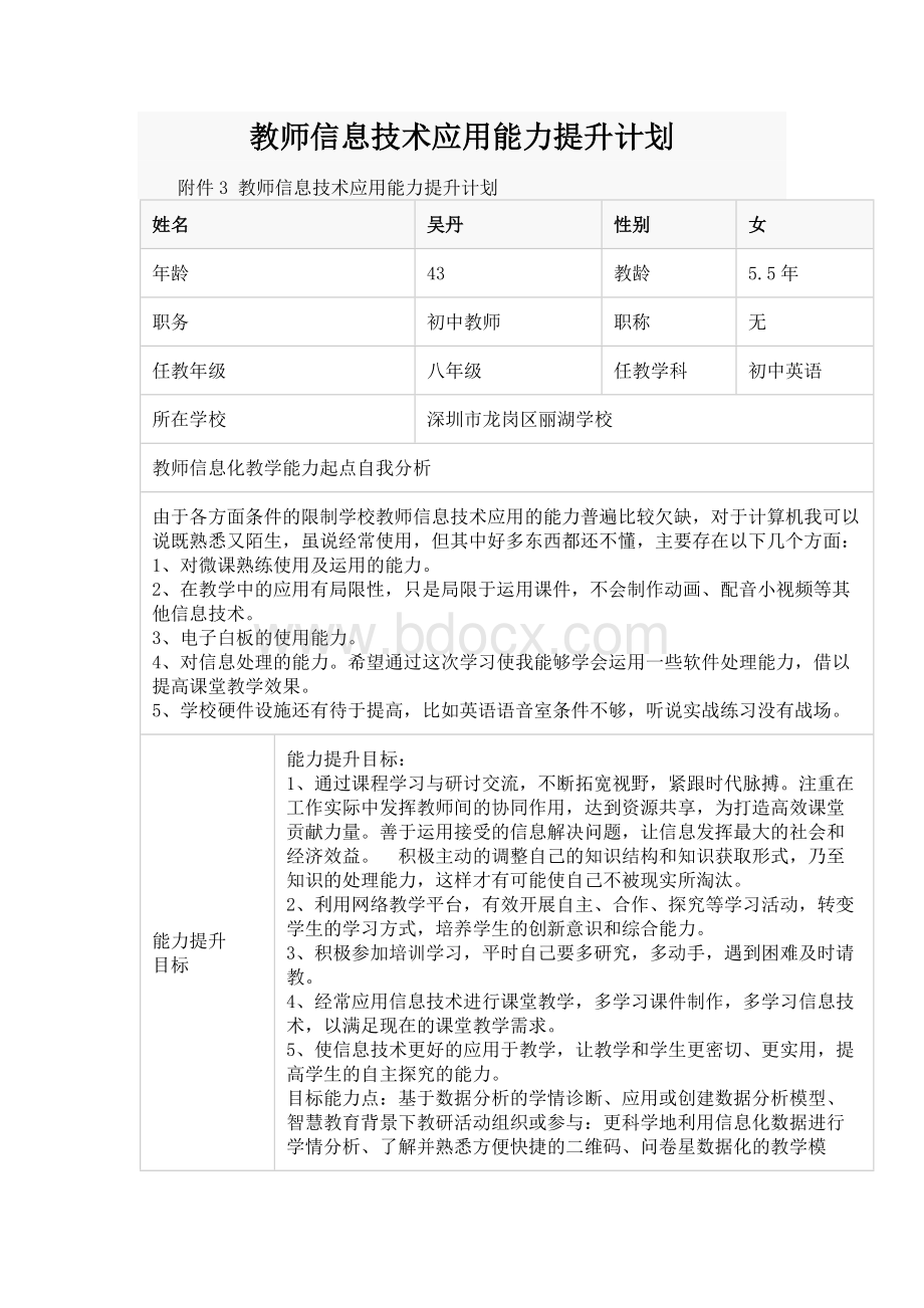 教师信息技术应用能力提升计划.docx