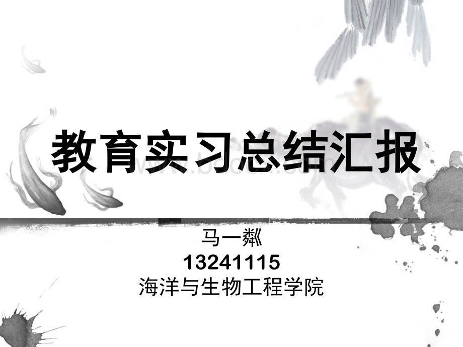 教育实习汇报pptPPT文档格式.pptx