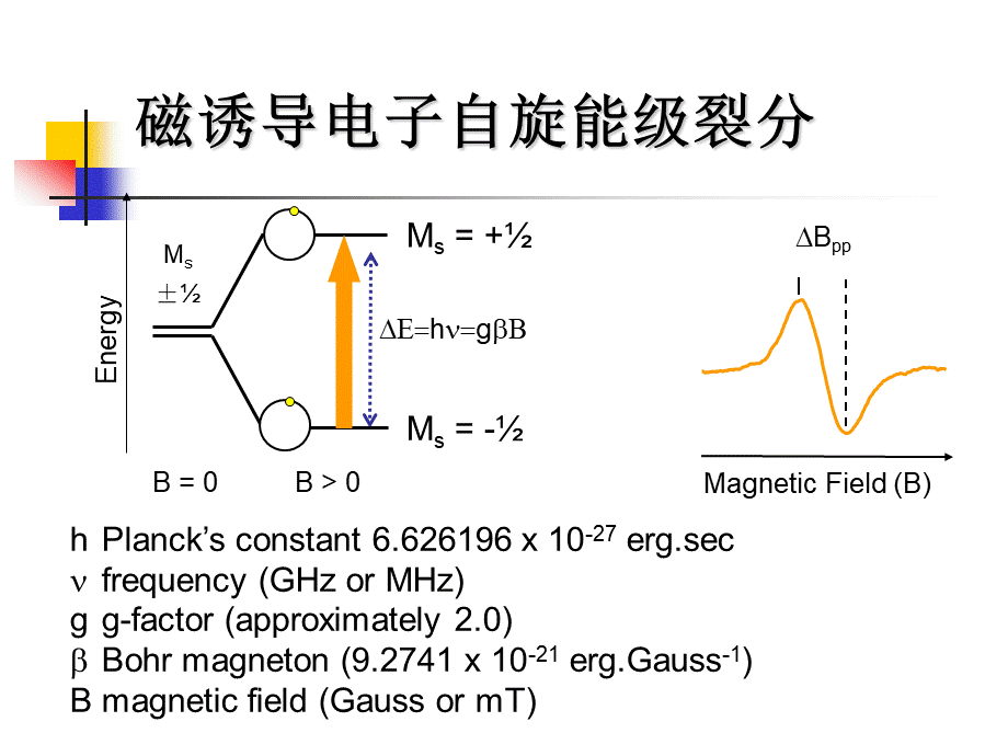 电子顺磁共振(ESR)教程ppt.ppt_第2页