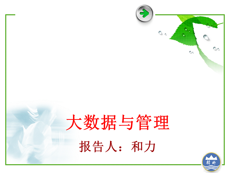 大数据与管理(PPT-37张).ppt