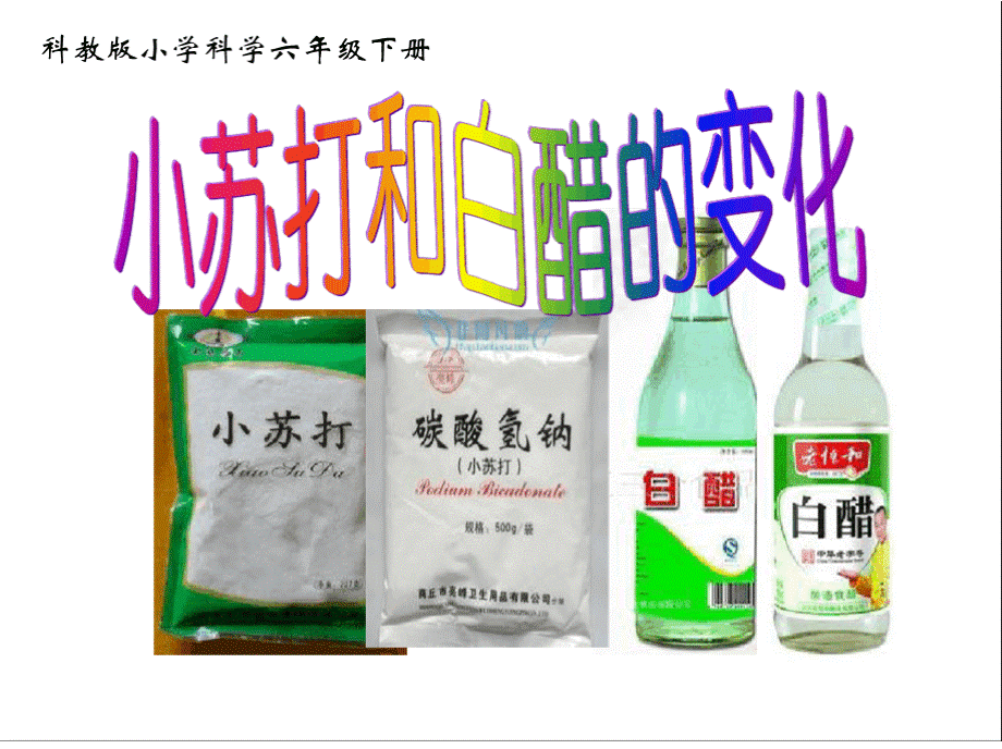 小苏打和白醋的变化.pptx_第2页