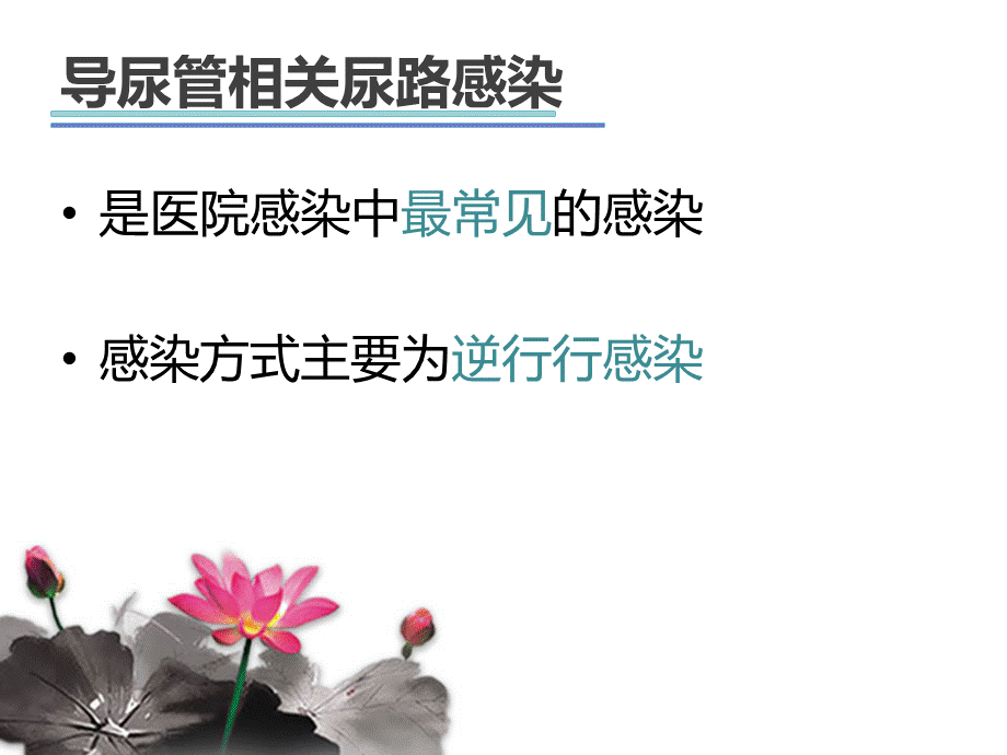 导尿管相关尿路感染预防措施.ppt_第2页