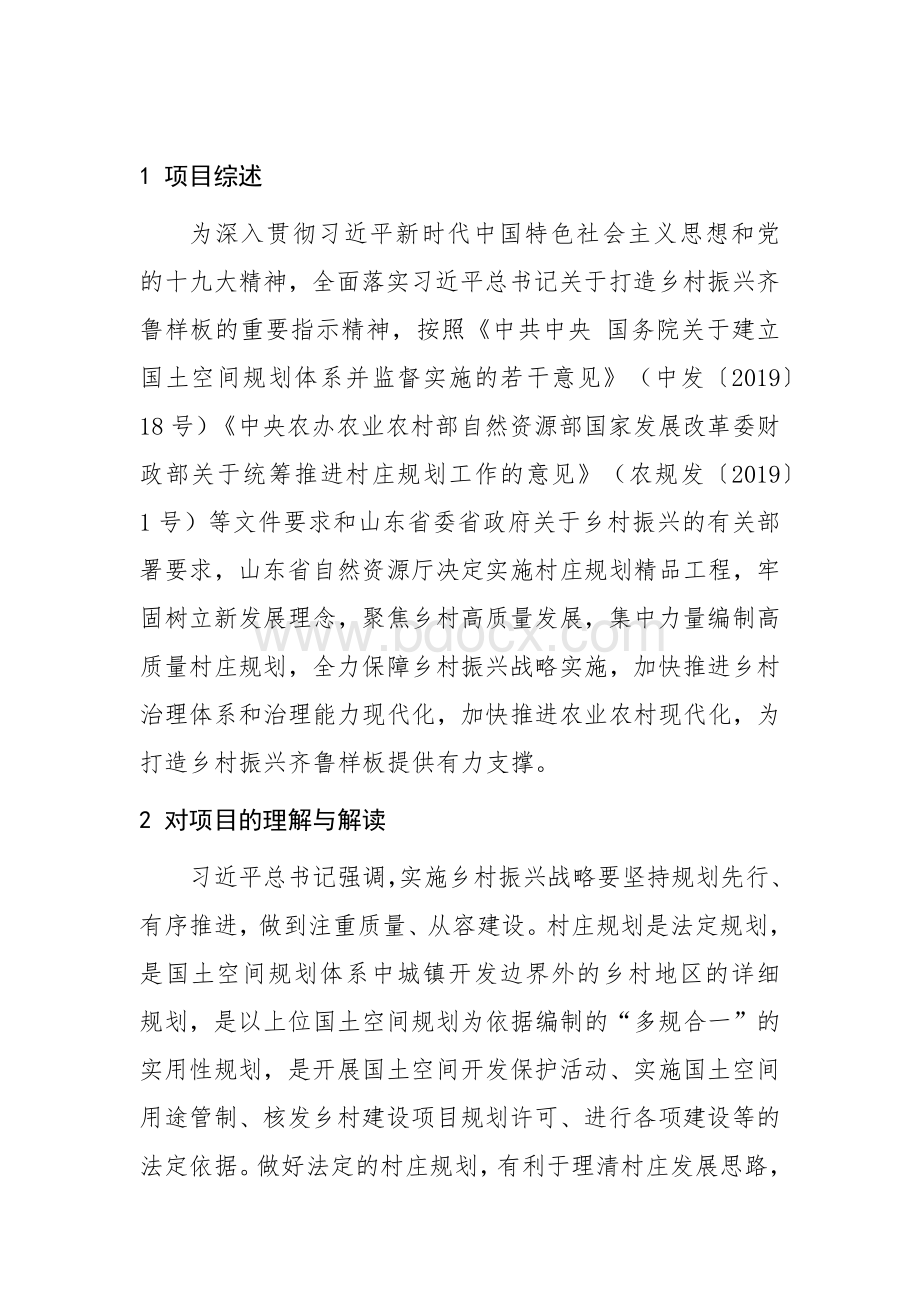 村庄规划技术标书Word文件下载.docx