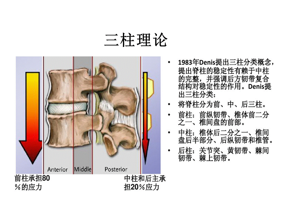 脊柱常见手术方式PPT文档格式.ppt_第3页