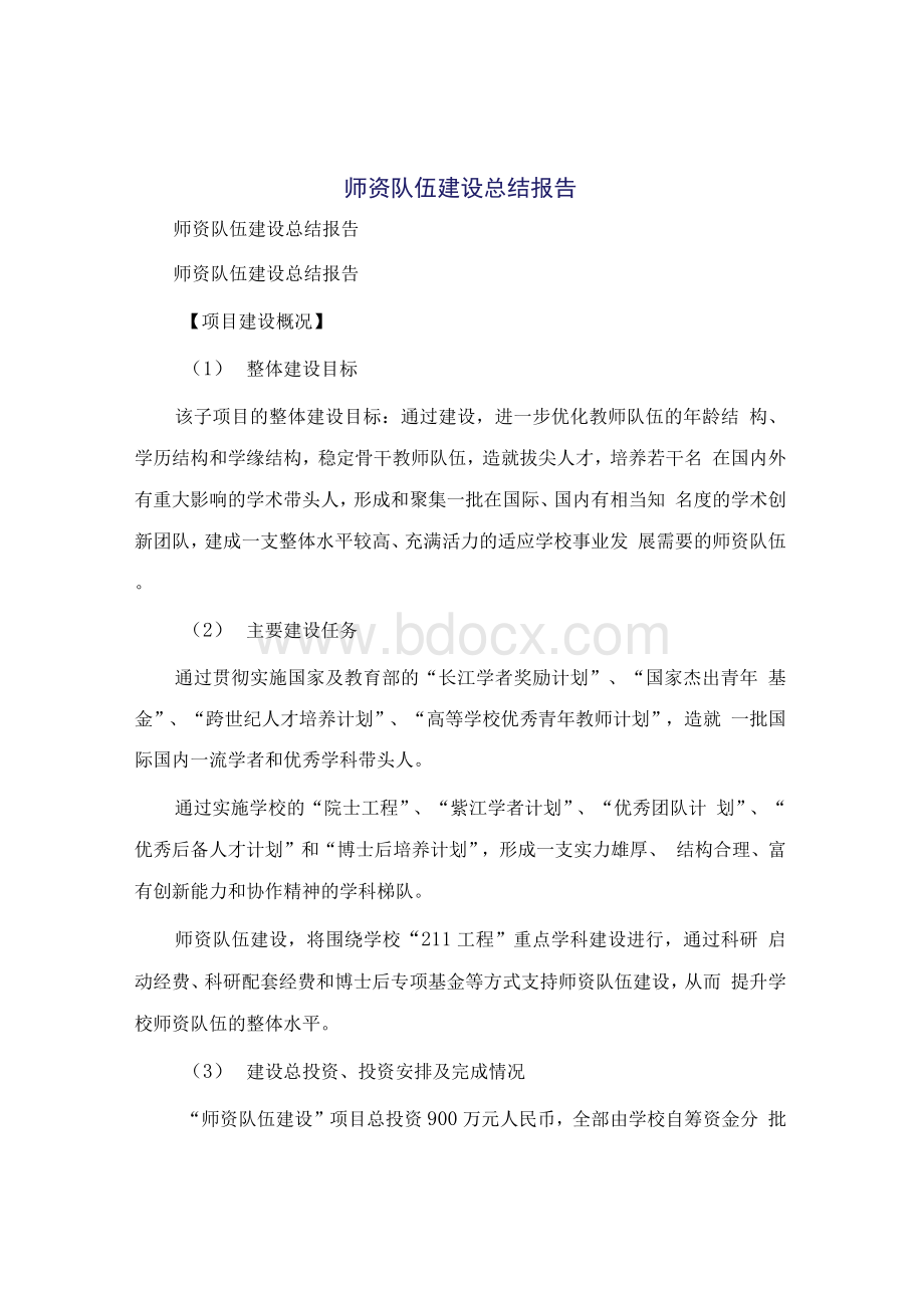 师资队伍建设总结报告.docx