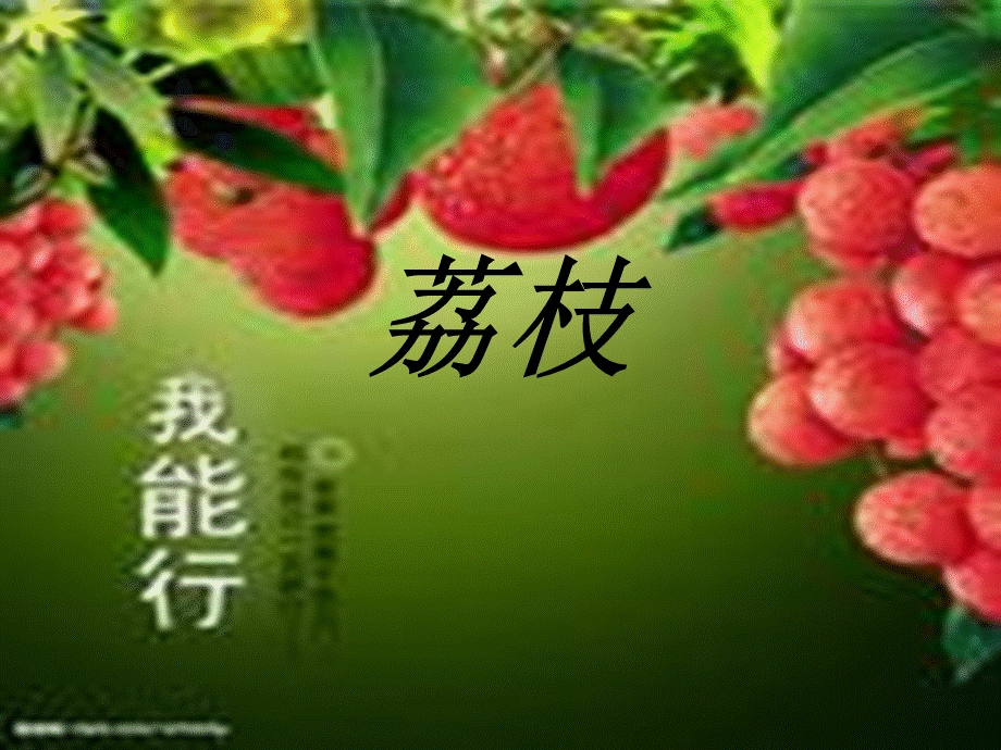 荔枝PPT课件.ppt