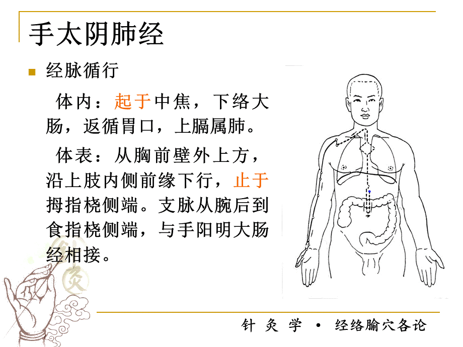 经络腧穴各论ppt课件PPT文档格式.ppt_第2页