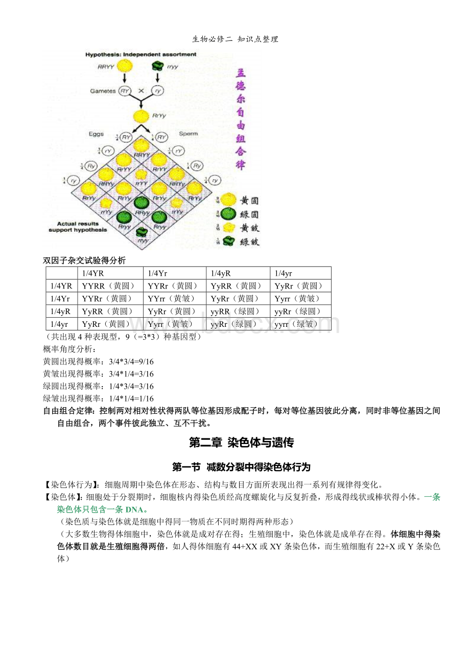 生物必修二-知识点整理.doc_第3页