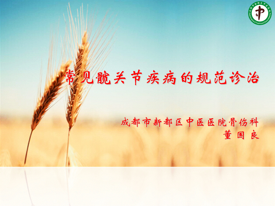 髋关节常见疾病的规范诊治优质PPT.ppt