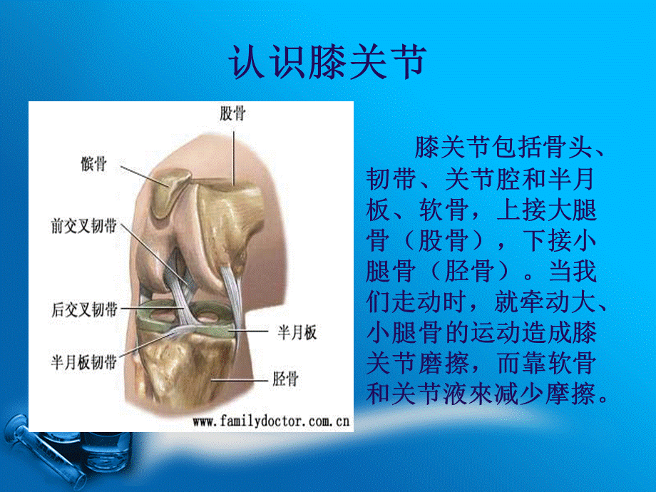 人工全膝关节置换术ppt课件.ppt_第2页