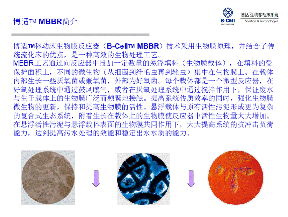 博适MBBR工艺技术.pptx_第2页