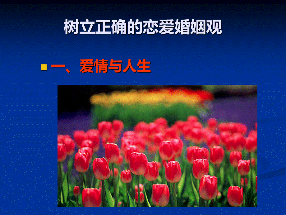 爱情与婚姻PPT推荐.ppt_第2页