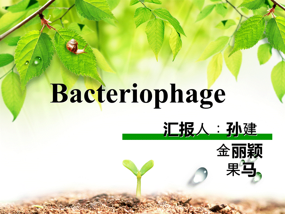 噬菌体课件优质PPT.ppt_第1页