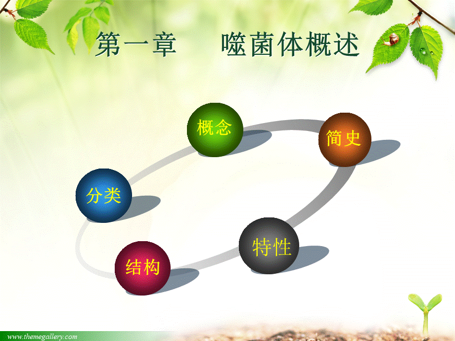 噬菌体课件优质PPT.ppt_第3页