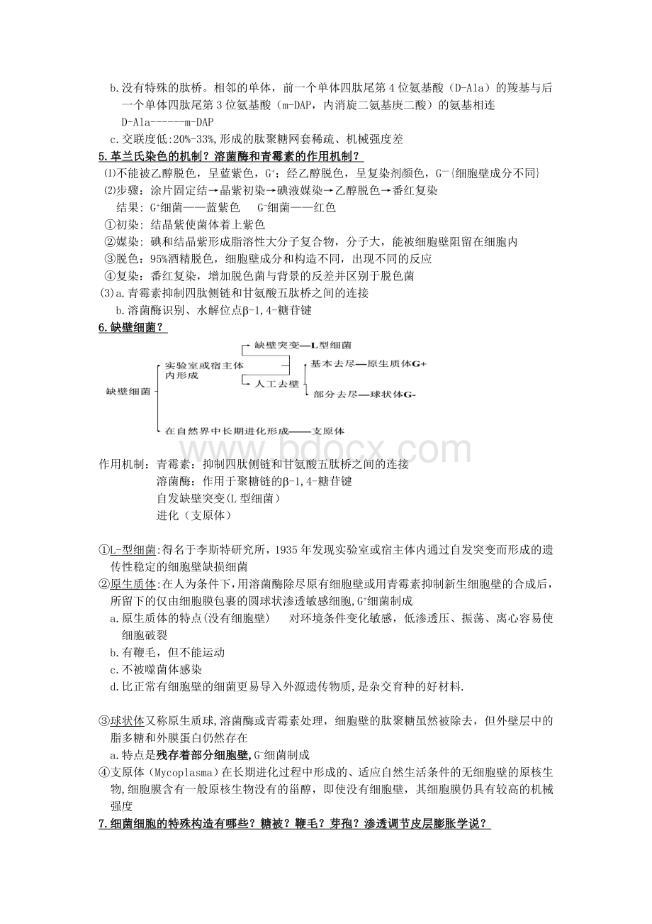 微生物学复习要点整理版(含答案)Word格式文档下载.doc_第2页