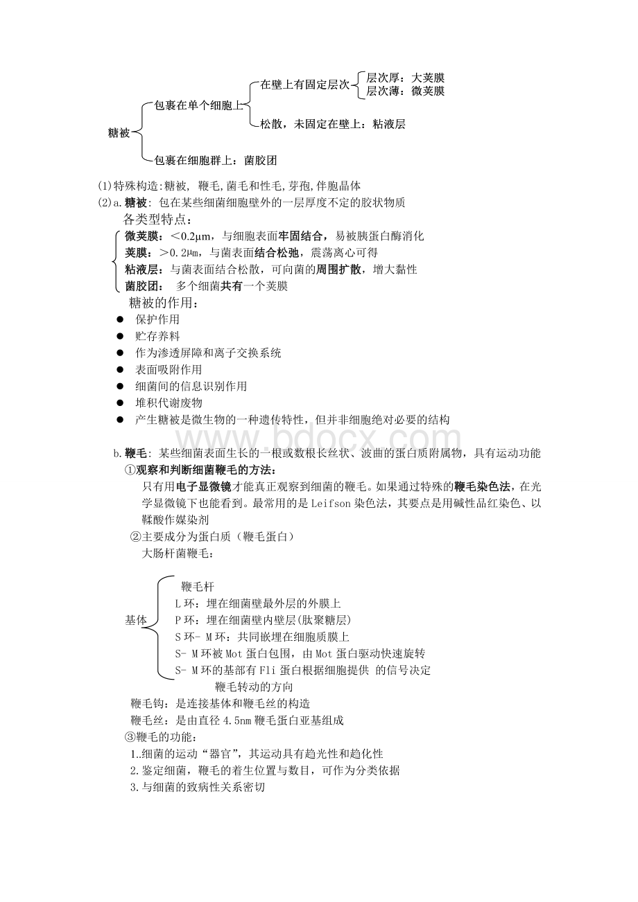 微生物学复习要点整理版(含答案)Word格式文档下载.doc_第3页