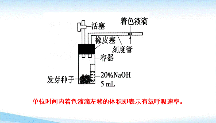 第3讲光合速率的测定.ppt_第3页