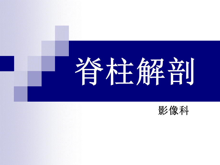 脊柱解剖ppt.ppt