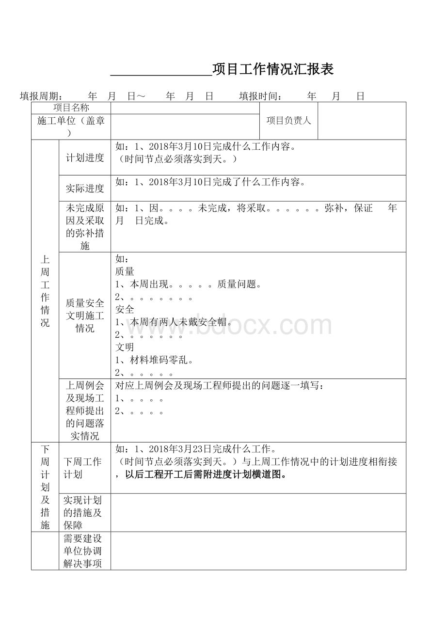 项目施工进度情况汇报表.docx_第2页