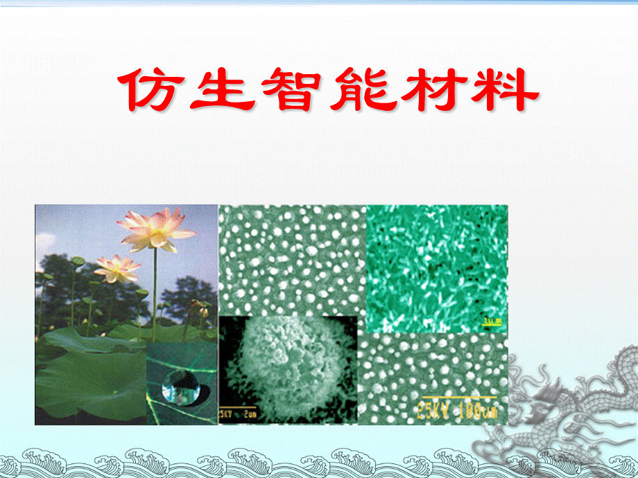 仿生智能材料 (1)PPT推荐.ppt_第1页