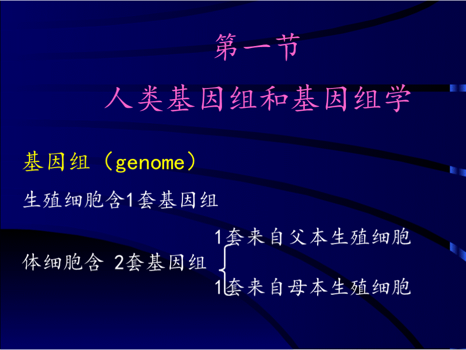 人类基因组和基因组学PPT文件格式下载.pptx_第2页