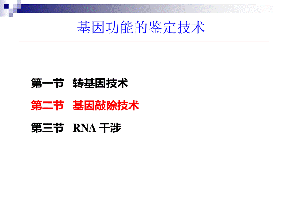 分子生物学课件：基因敲除PPT课件下载推荐.pptx_第2页