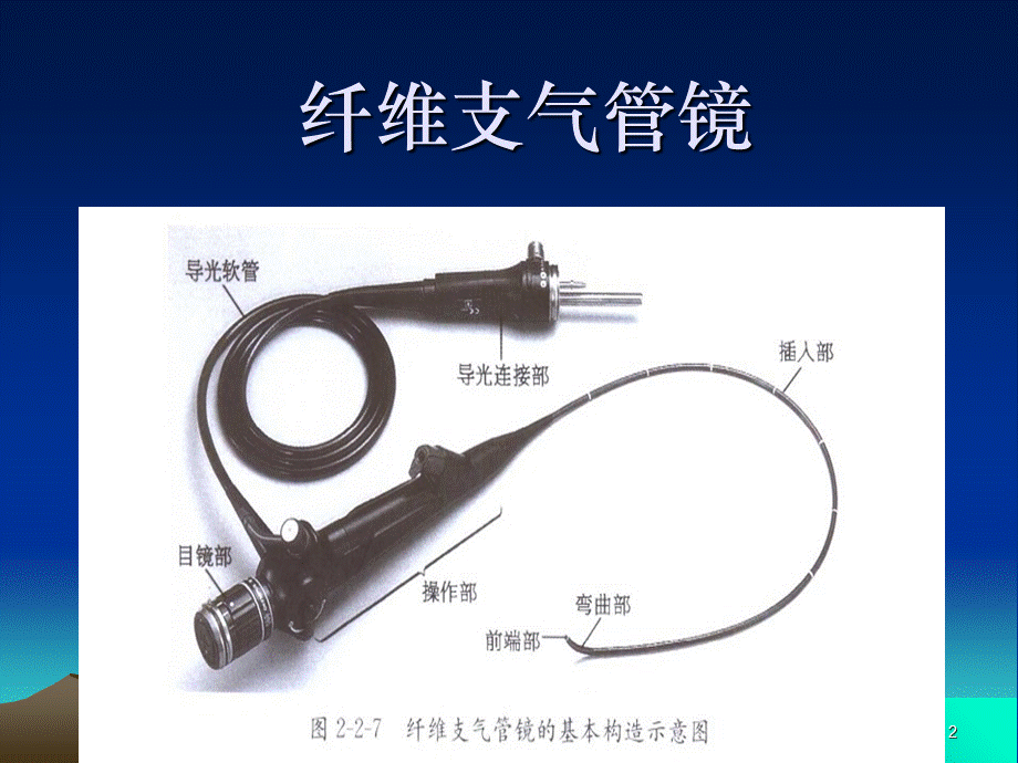 纤支镜整理ppt课件PPT格式课件下载.ppt_第2页