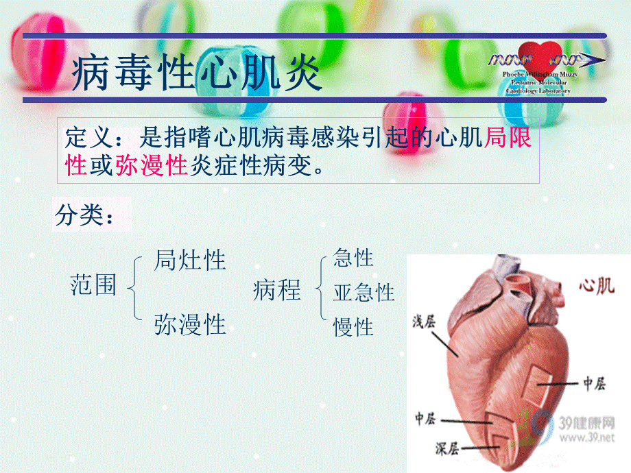 病毒性心肌炎新优质PPT.ppt优质PPT.ppt_第3页