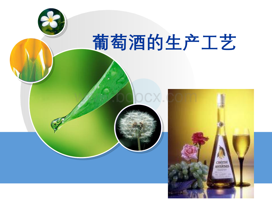 葡萄酒的生产工艺PPT课件下载推荐.ppt_第1页