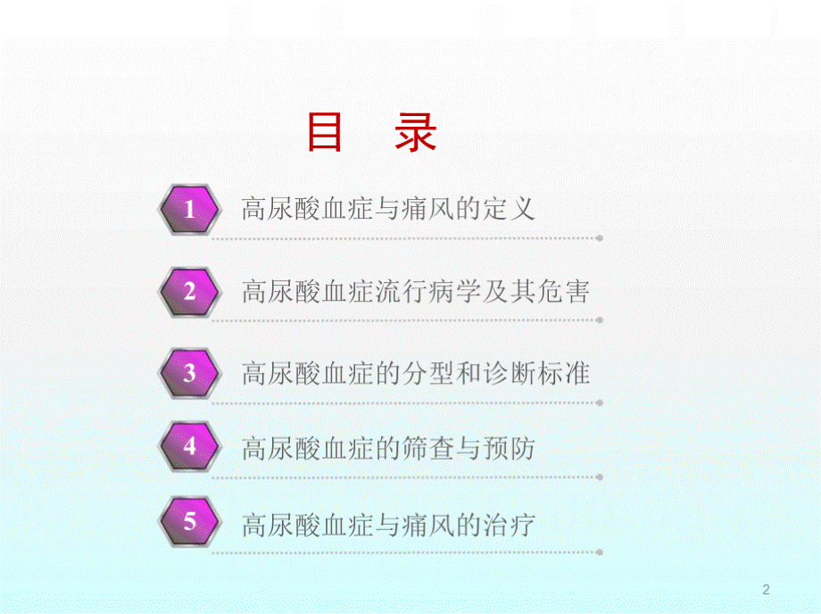 痛风讲课ppt课件.pptx_第2页