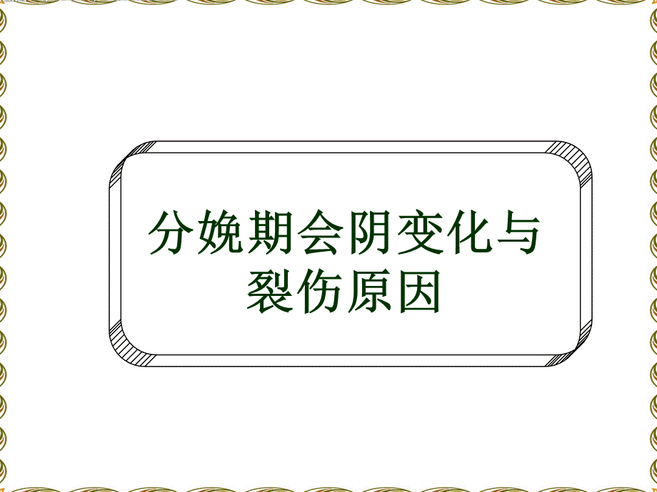 会阴评估技术及保护会阴的临床实践.pps_第3页