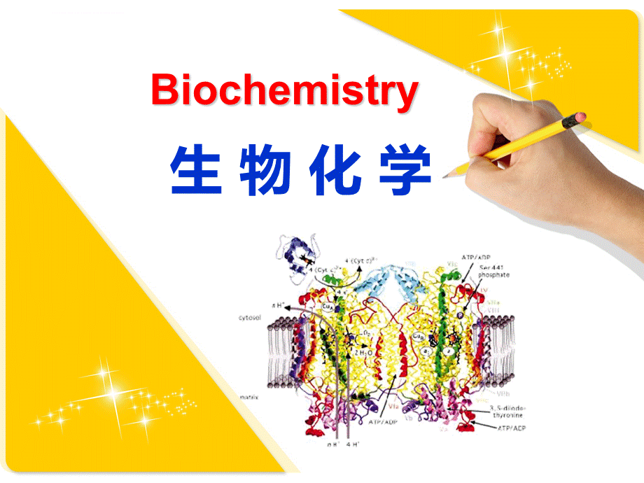 生物化学绪论ppt课件.ppt