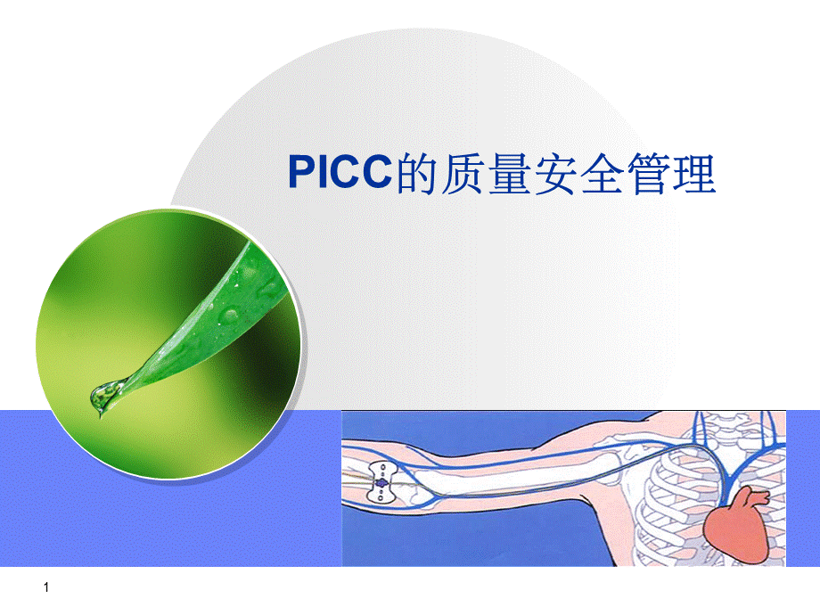 PICC围置管期的质量管理PPT医学课件优质PPT.ppt_第1页