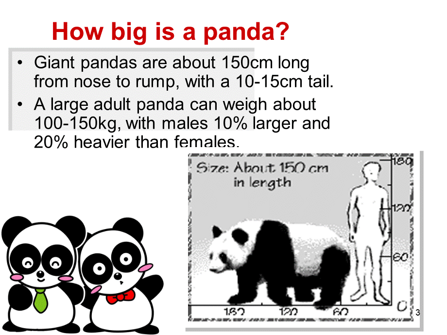 Introduction-of-Giant-Panda大熊猫英文介绍.ppt_第3页