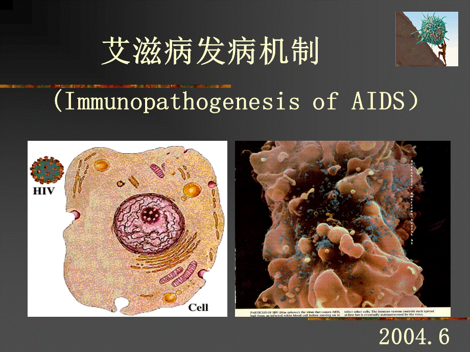 艾滋病发病机制PPT格式课件下载.ppt_第1页