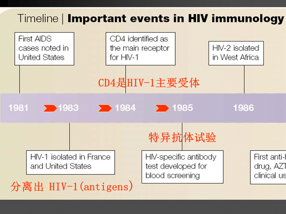 艾滋病发病机制PPT格式课件下载.ppt_第2页