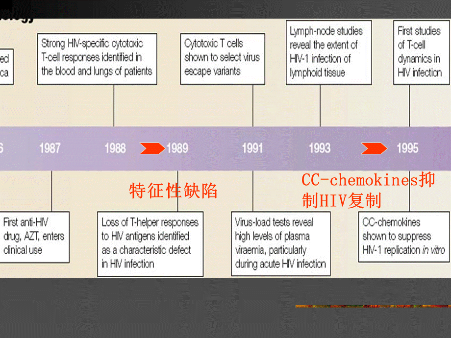 艾滋病发病机制PPT格式课件下载.ppt_第3页