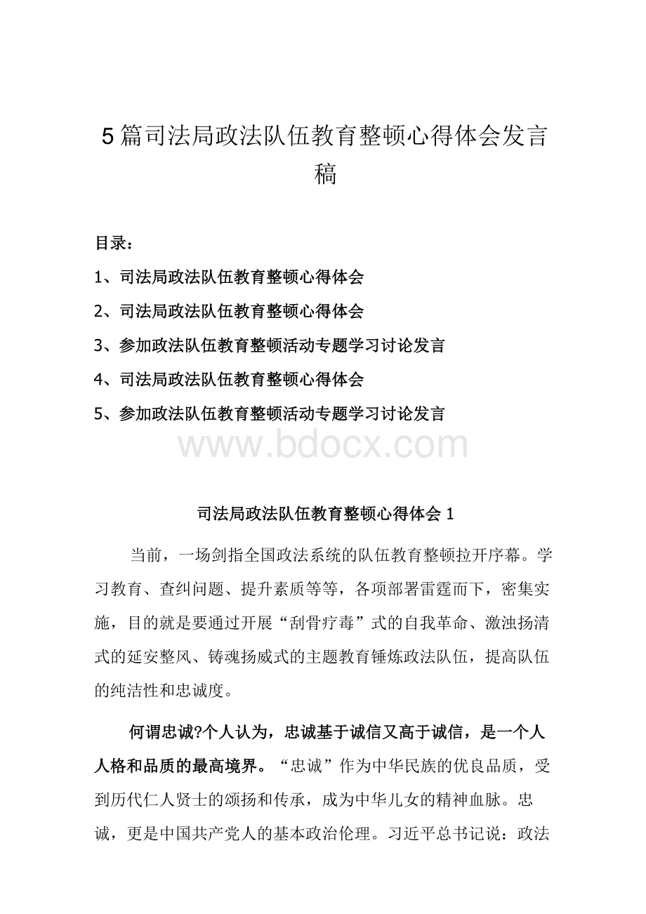 5篇司法局政法队伍教育整顿心得体会发言稿Word文档下载推荐.docx_第1页