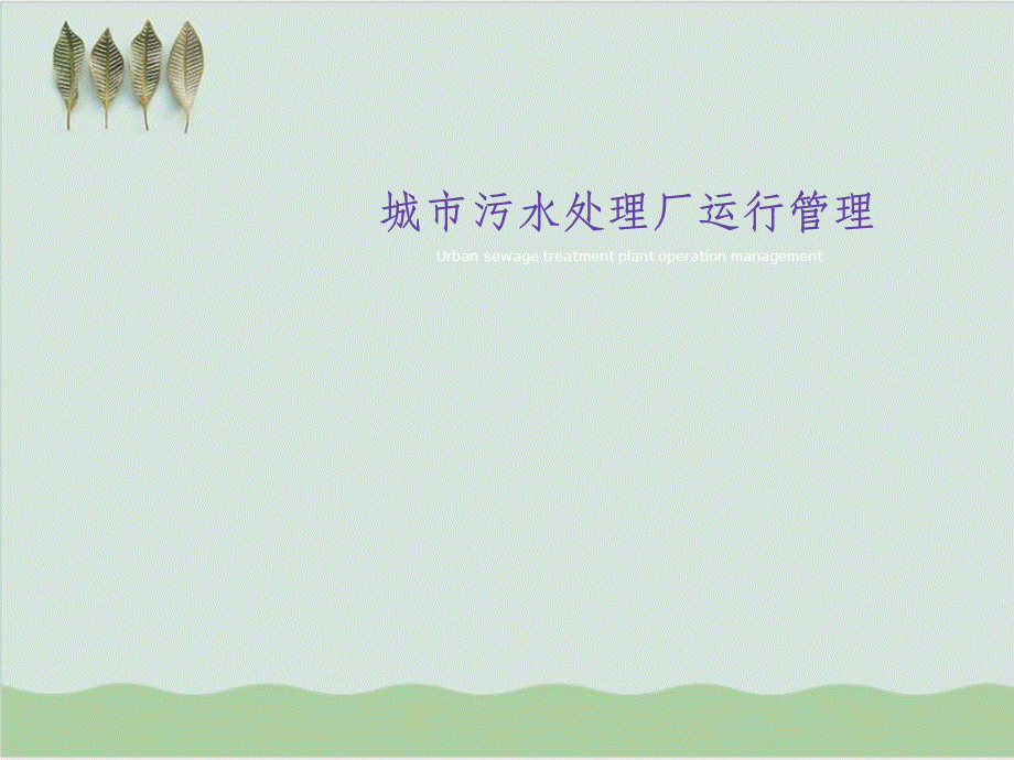 城市污水处理厂运行管理PPT课件(-243页)PPT文档格式.ppt